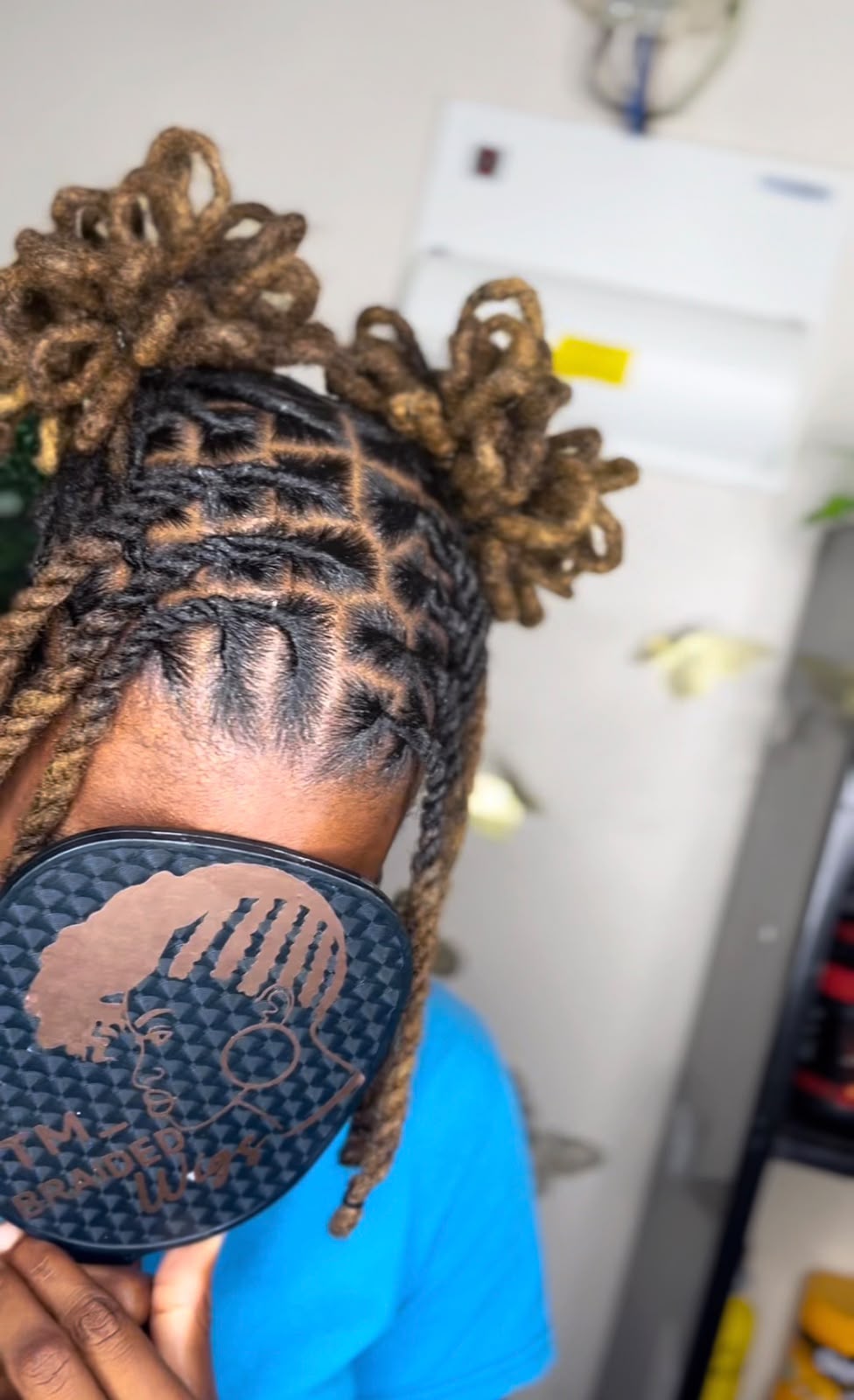 Braided space buns